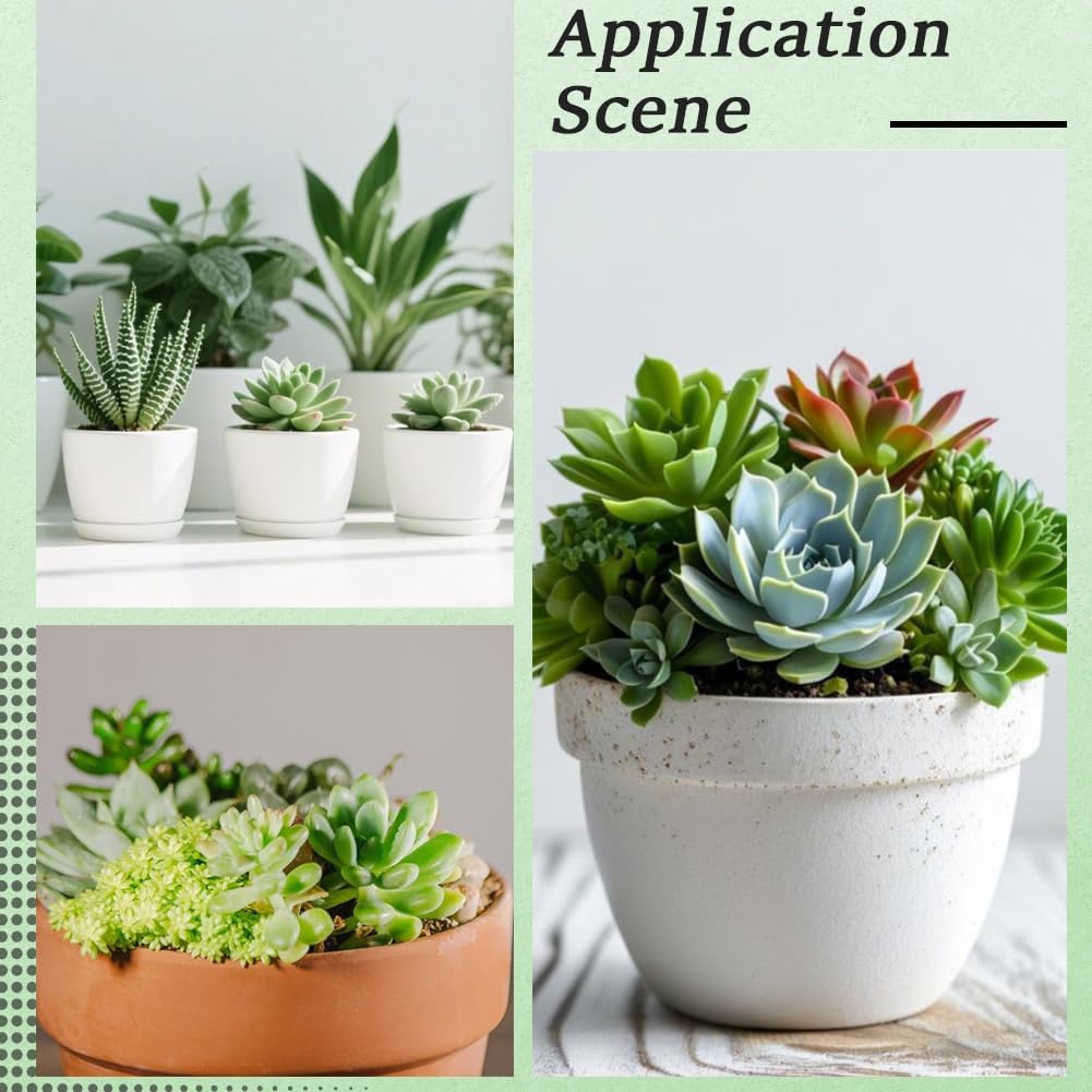 18Pcs Realistic Faux Succulents Artificial Cactus Plants Bulk Plastic Succulent Greenery for Indoor Outdoor Home Office Wedding Table Centerpieces Terrariums Decoration DIY Crafts Projects