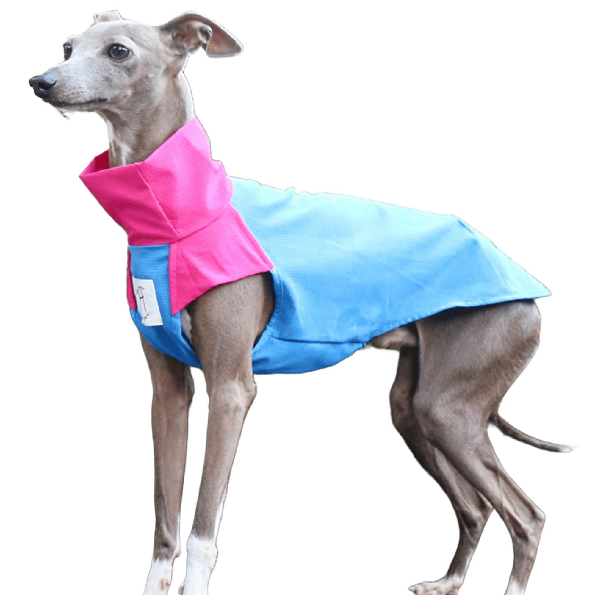 Summer Cooling Dog Shirt Clothes, Lightweight Quick-Dry Dog Sun Protection Tank Tops Vest for Italian Greyhound and Whippet Dogs T-shirt(Blue,L)