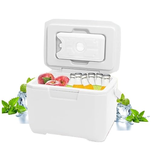 Small Cool Box 6L Small Cooler with 5 Ice Packs