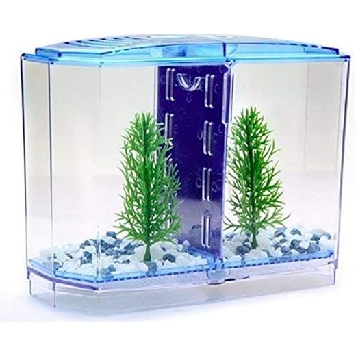 Sansefero Betta Tank Double Betta