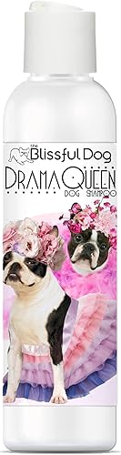 Miniatura 7 de The Blissful Dog Shih Tzu Drama Queen Champú para perros, 16 onzas
