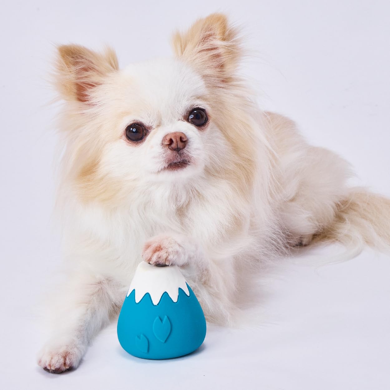 Amazon | ペティオ (Petio) 犬用おもちゃ 犬雅 富士山ラテックス 青