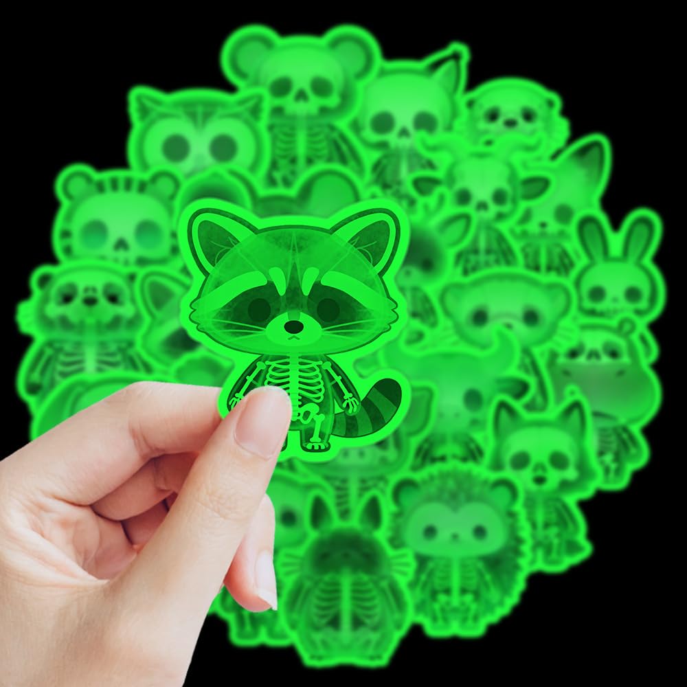 View 6