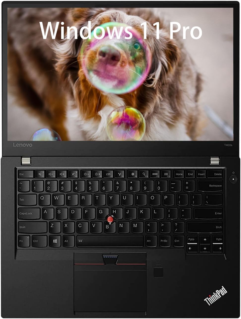 Lenovo ThinkPad T460 Ordinateur portable professionnel 14" Intel Core i5-6300U 8 Go RAM SSD 256 Go Clavier QWERTY américain Windows 11 Pro reconditionné