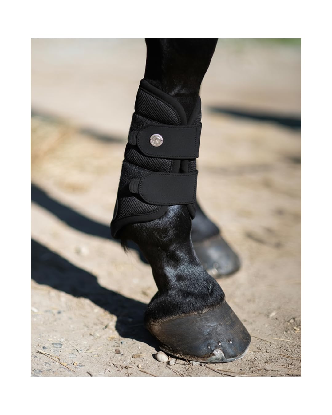 Equiva Gamaschen Avior, atmungsaktive Pferdegamaschen mit Multilagen-Mesh, Stoßdämpfung, Druckverteilung und Klettverschluss