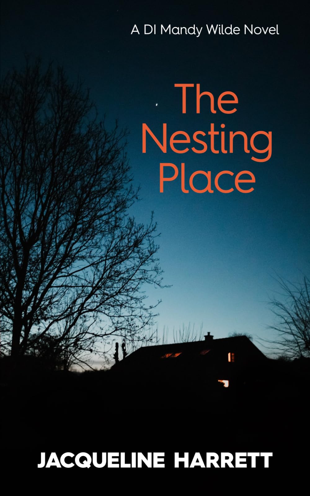 The Nesting Place (DI Mandy Wilde Novels)