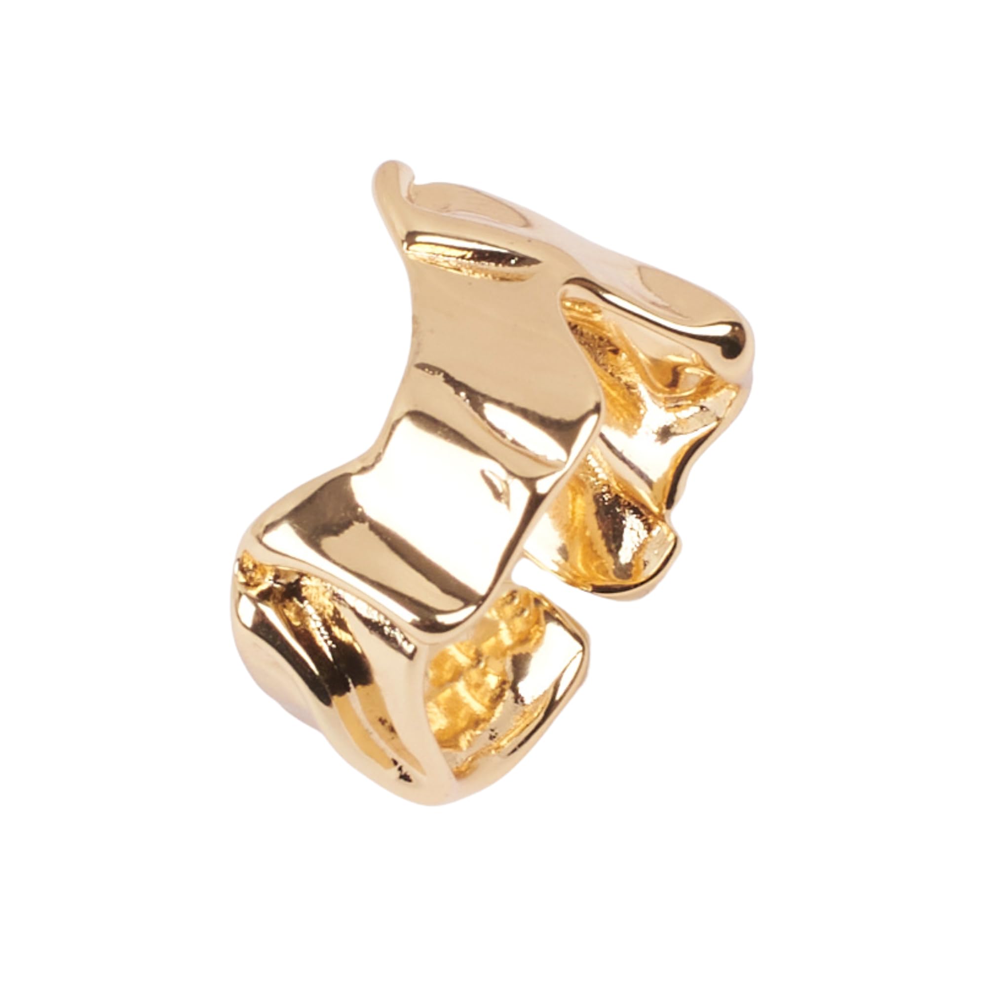 SALTY Crooked texture Gold Finger Ring for Women & Girls | 14K Gold Plating | Anti-Tarnish | Fancy | Stylish & Minimal | Birthday Gift | Aesthetic Jewellery | Accessories for Everyday Wear (B0DBZDKN21) Amazon Price History, Amazon Price Tracker