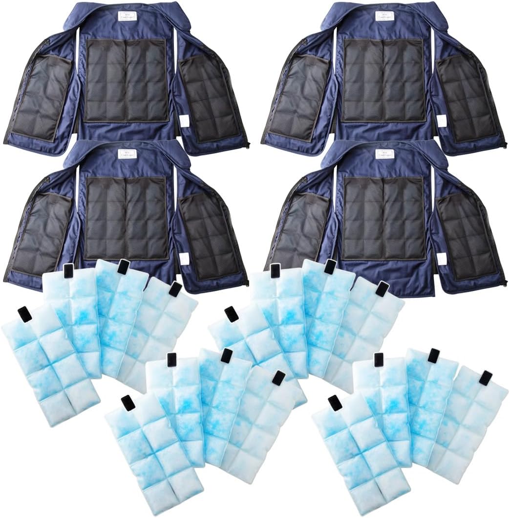 リゼロ メモリースノー 映画 デジタルキャンバス f10サイズ Reゼロ