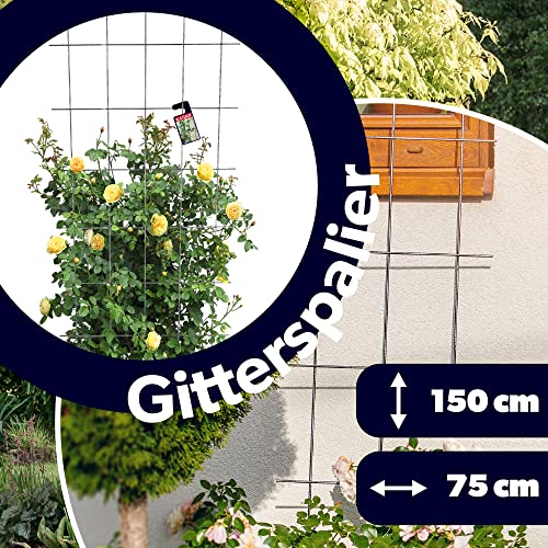Rankgitter aus Metall von KADAX für Garten und Terrasse