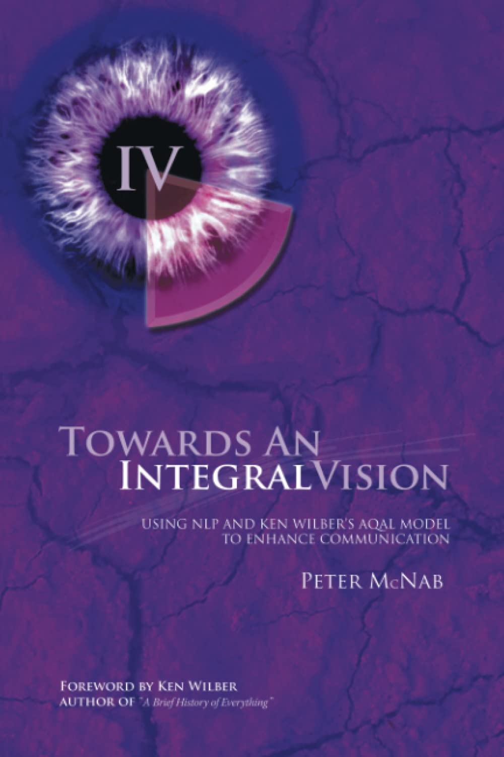 Towards an Integral Vision: Using NLP & Ken Wilber's AQAL Model