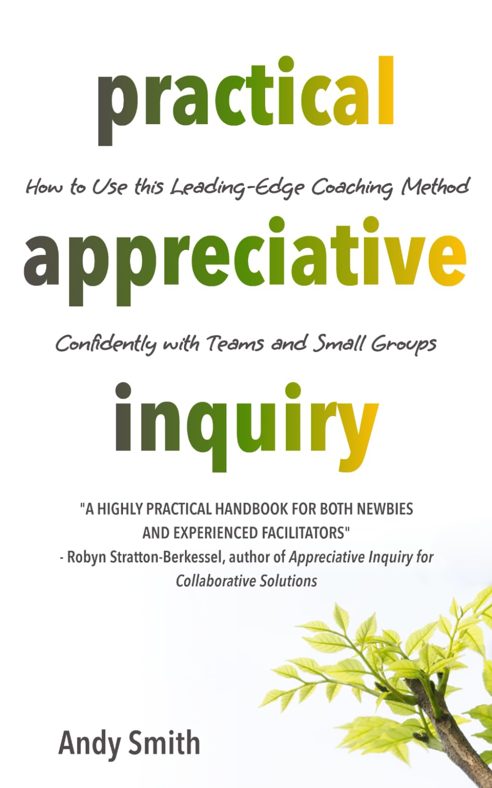 Practical Appreciative Inquiry: How to Use This Leading-Edge Coaching Method Confidently with Teams and Small Groups