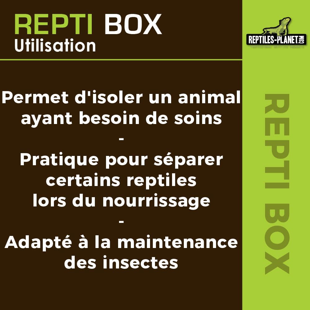 Reptiles Planet Repti Box XL Boite de Transport 42 x 26 x 16 cm