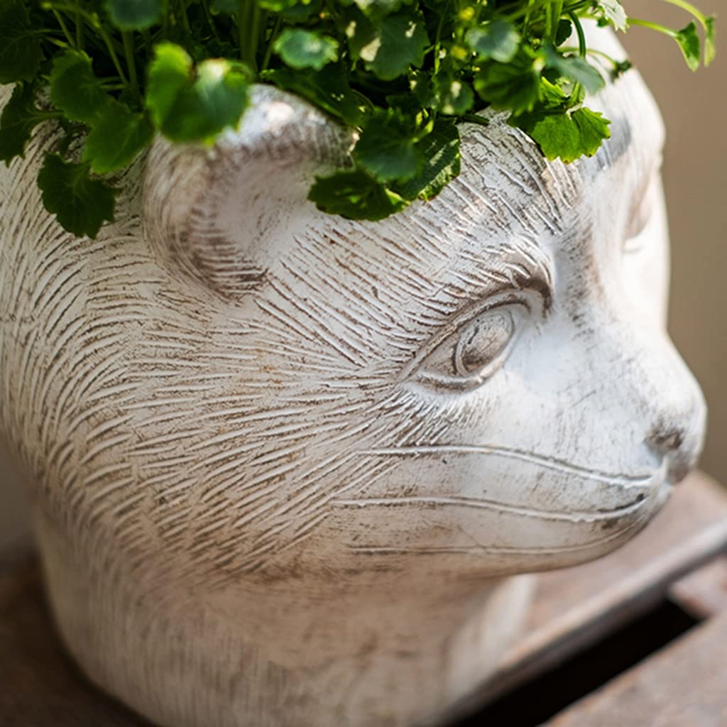 Amazon.co.jp: 鉢花 植木動物の頭のプランターポット猫の顔