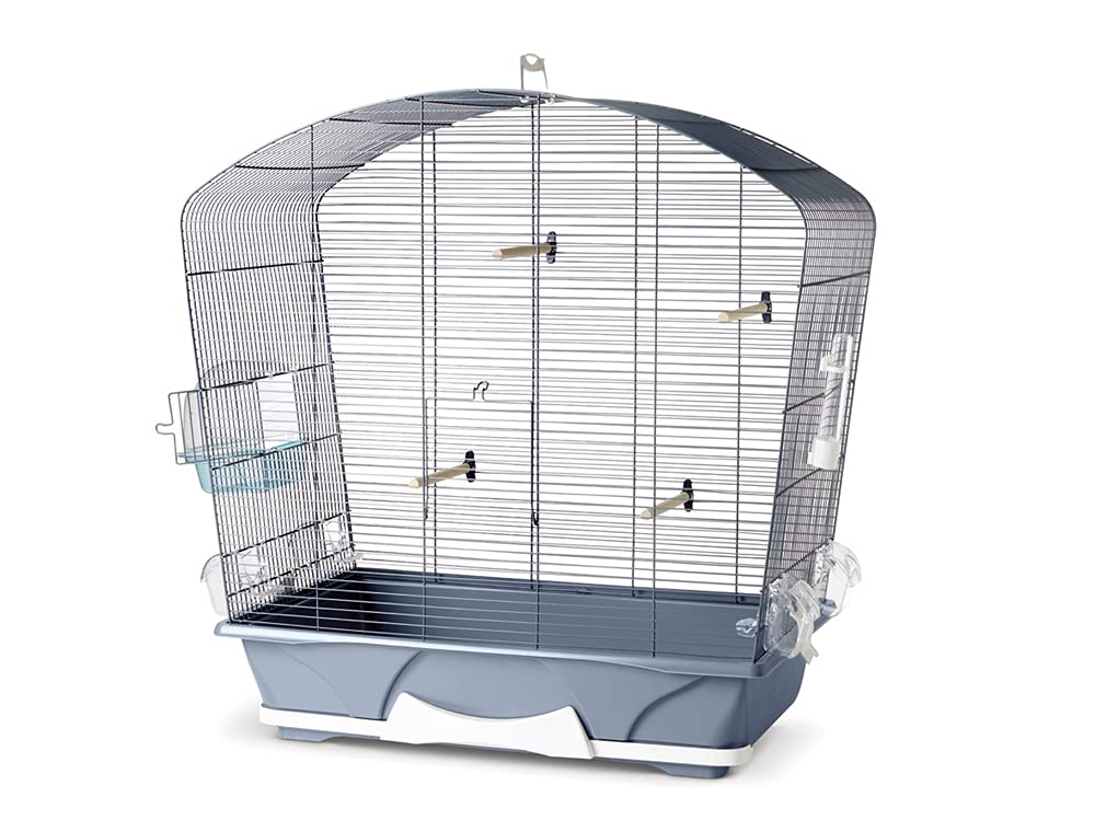 Nobby Vogelheim Louise 50"