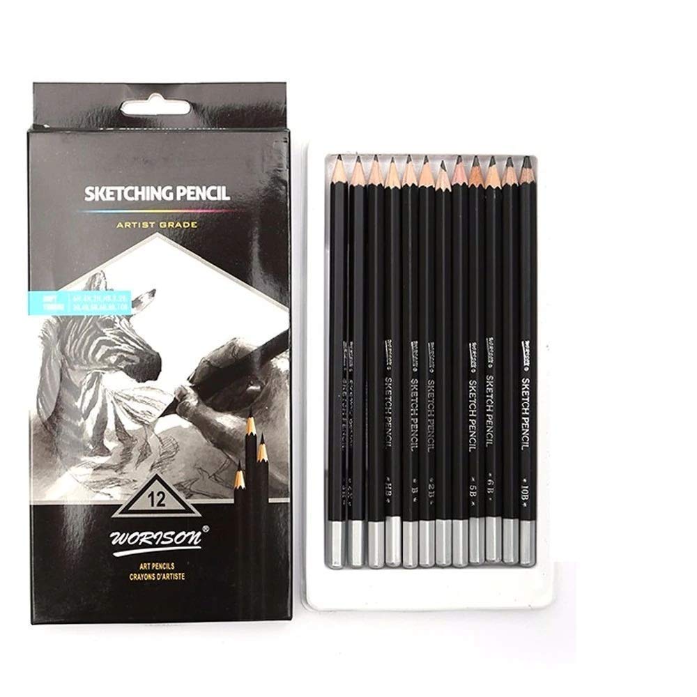 DELITON 12 Drawing Pencils Set, Art Sketching Pencils 6H, 4H, 2H, HB, B 2B, 3B, 4B, 5B, 6B, 8B, 10B, Graphite Pencils for Adults & Kid Artists.