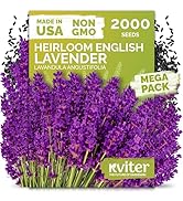 Small manufacture image 13