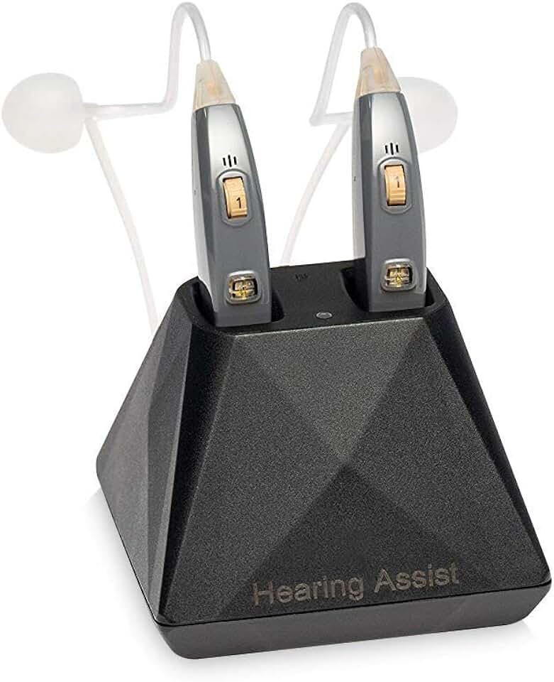 hearing aid charger