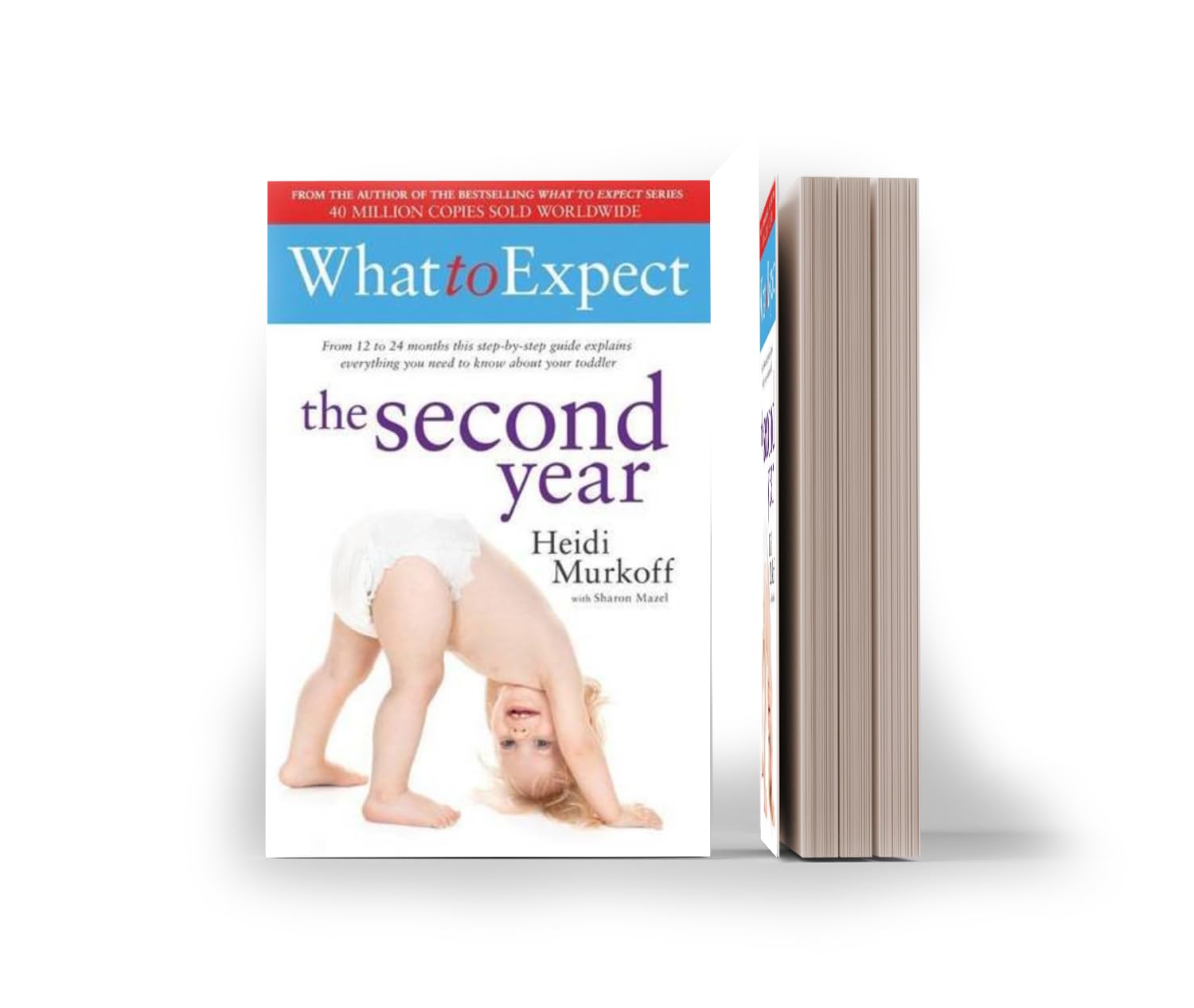 What to Expect: The Second Year