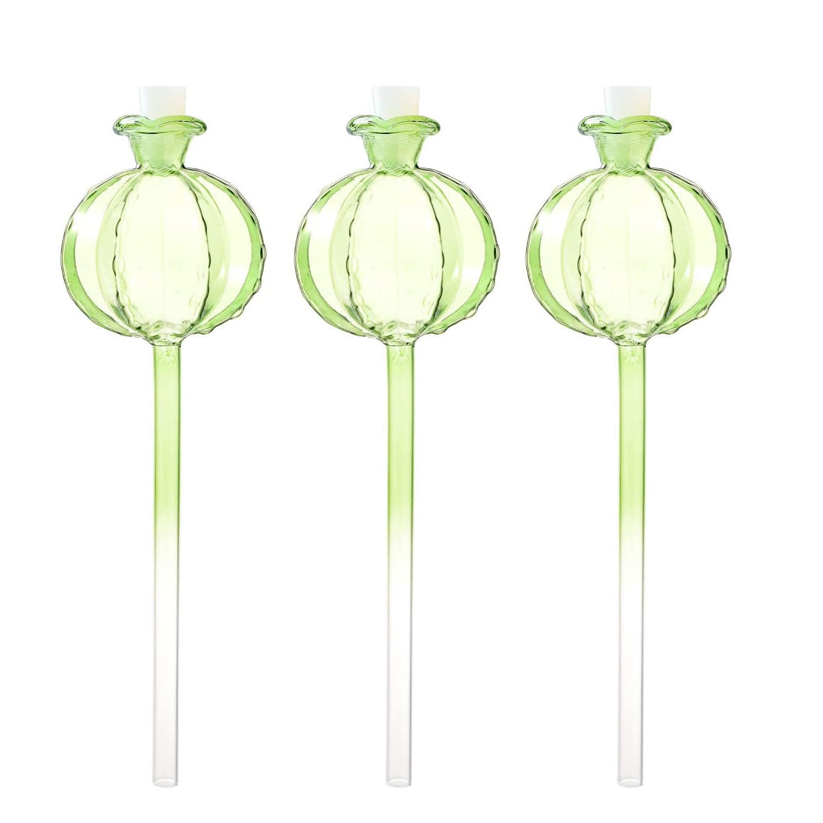 Verres d'arrosage pour éviter le dessèchement des plantes d'intérieur de vacances