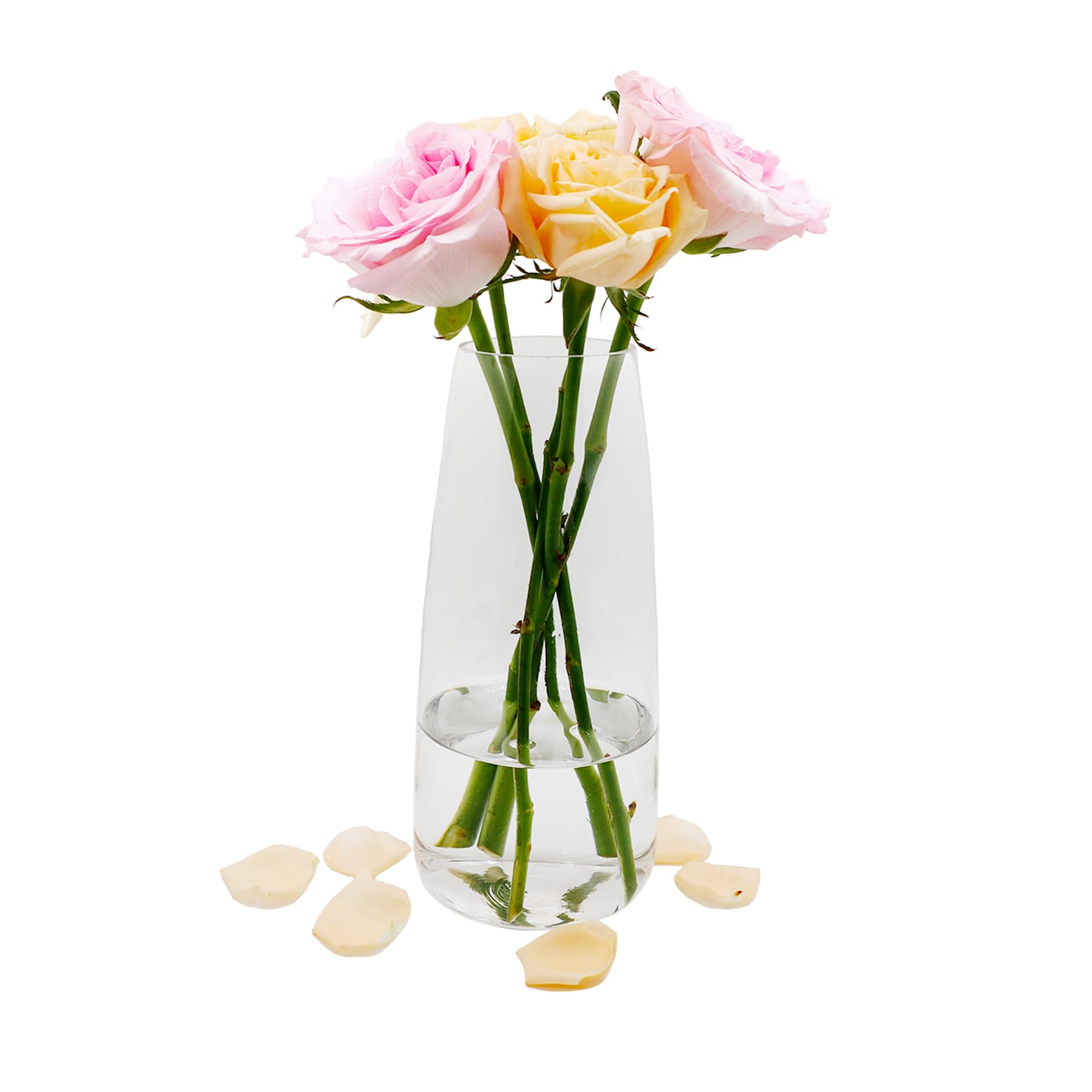 Florero de Cristal, Ins Moderno Jarrón de Transparente, 22 CM Alto Jarrón de Cristal para Decoración de Mesa, Jarrones Decorativos para Hierba de Pampa, Tulipanes, Orquídeas (Transparente)