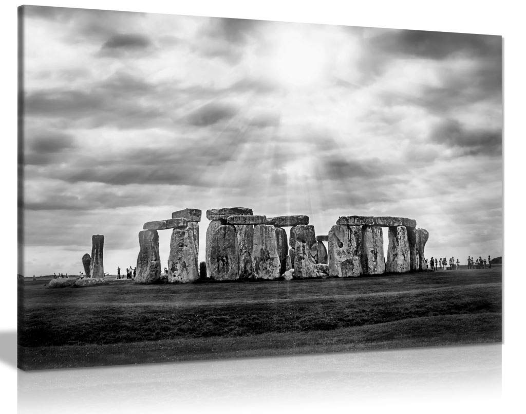 Panther Print Clown Fish Celtic Stonehenge Canvas Wall Art Picture Print (30X20)