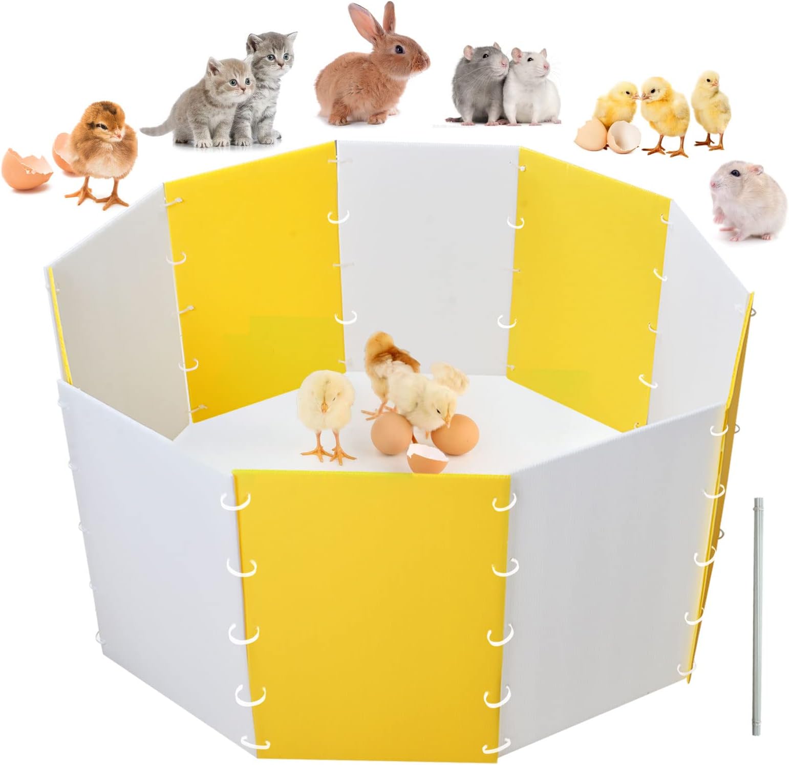 Chick Brooder Box KitReusable Chick Brooder Starter Kit