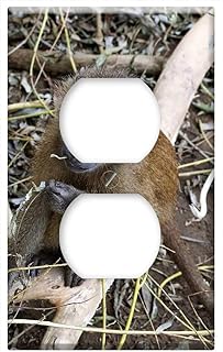 Switch Plate Outlet Cover - Baboon Baby Baboon Monkey Wildlife Animal Nature