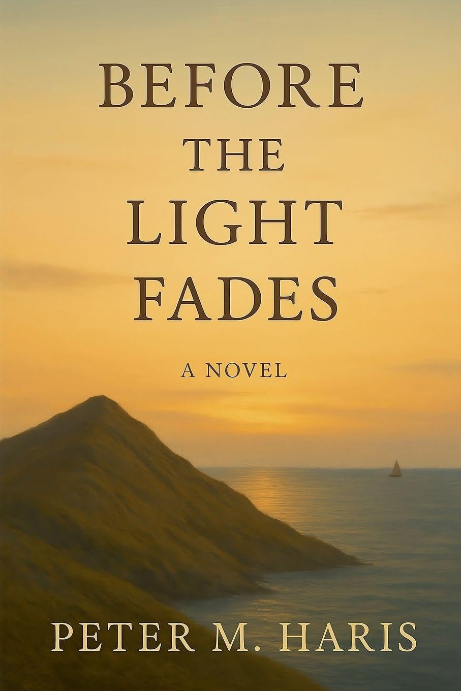 Before the Light Fades A Novel: 3 (Between the Rain and the Light)