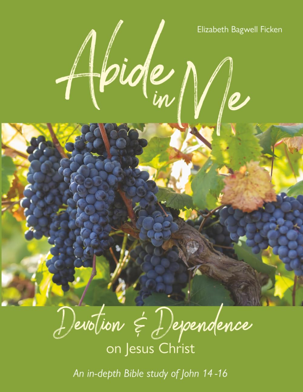 Abide in Me - Devotion and Dependence on Jesus Christ: An In-depth Bible study of John 14, 15, and 16 (In-depth Bible Study Series by Elizabeth Ficken)