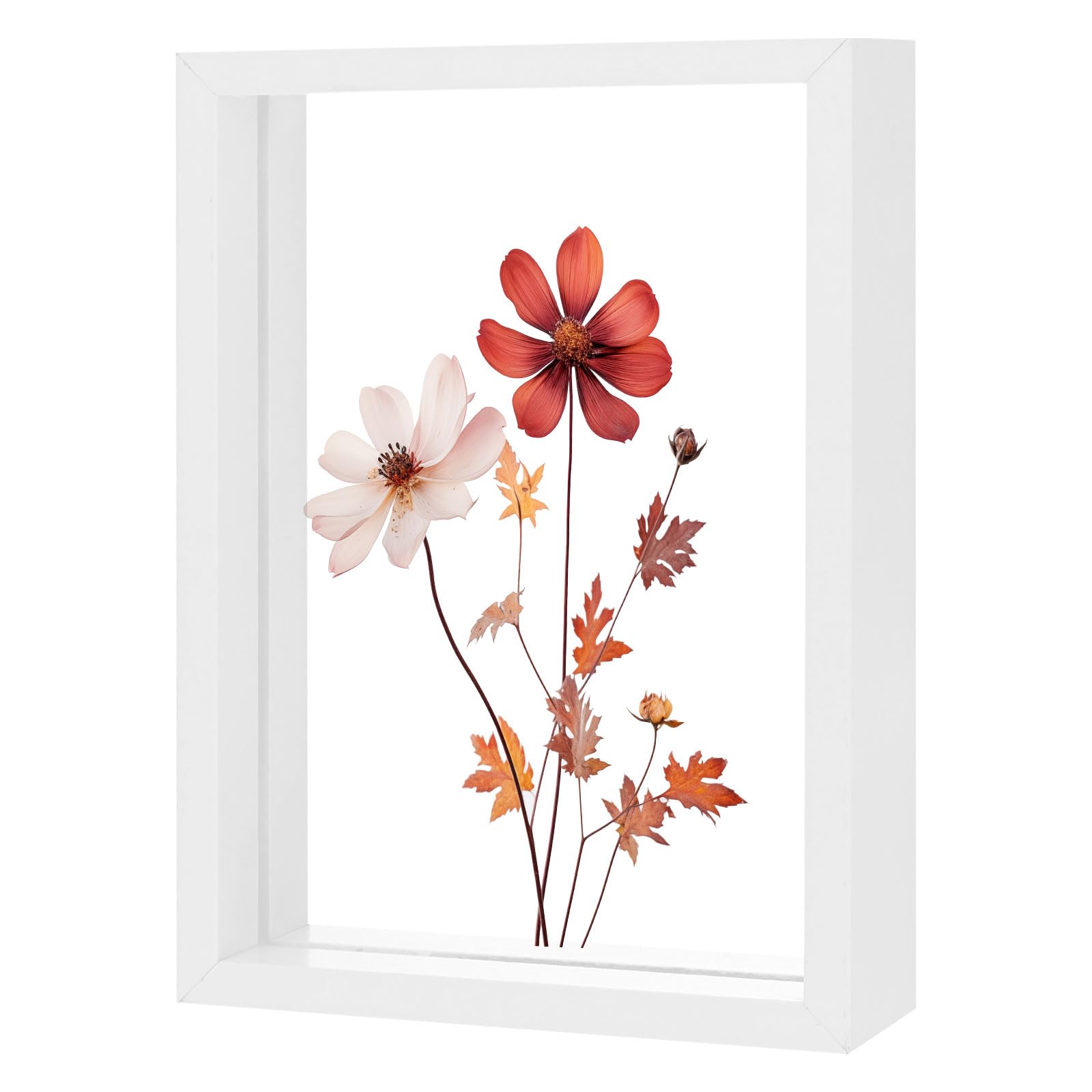 M METERXITY Wooden Pressed Flower Frame, 5 x 7 Inch Double Acrylic Floating Picture Frame for Dried Flowers/Tabletop/DIY/Handicrafts [White]