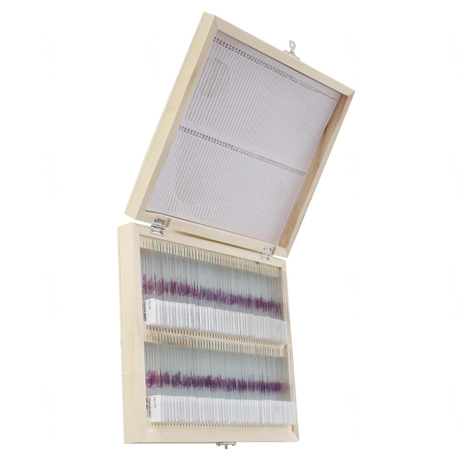 100 Piezas de Muestra de Sección Patológica Humana, Portaobjetos de Observación de Microscopio, Rebanadas Claramente Estructuradas, Material de Vidrio para Enseñanza de Educación de Estudios