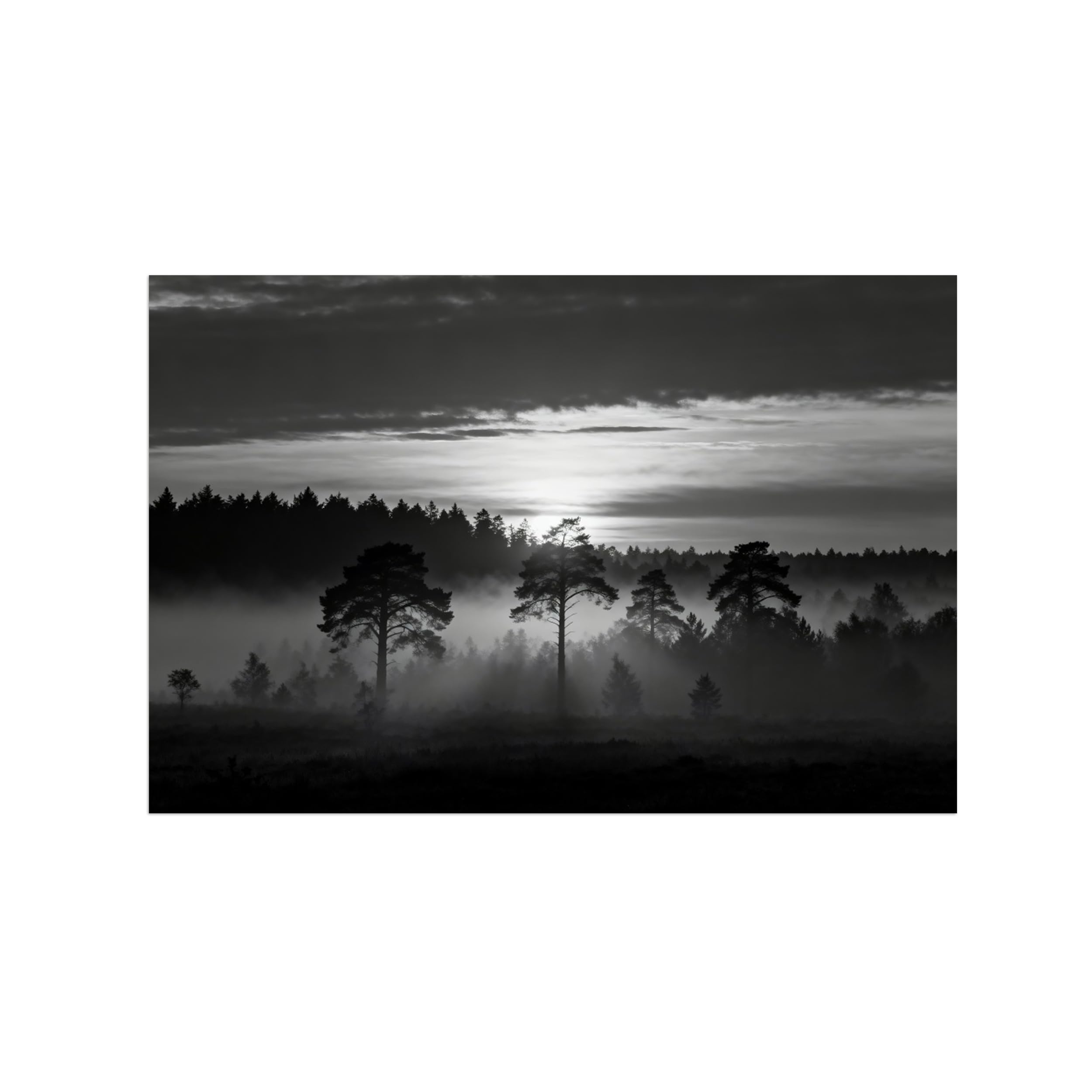OZPWBVY Black and White Landscape Print Painting-Tree Clouds-Minimalist Canvas Wall Art Picture for Home Decor 12x18in 30x45cm Unframed