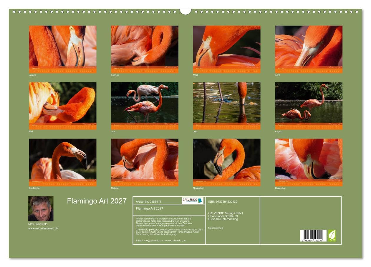 CALVENDO - Flamingo Art 2027 (Wandkalender 2027 DIN A2 quer), Monatskalender: Flamingo Art - Ein absoluter Blickfang im Büro und zu Hause