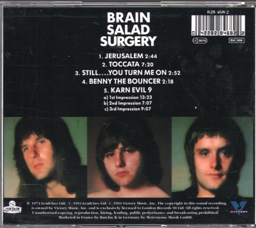 Brain Salad Surgery