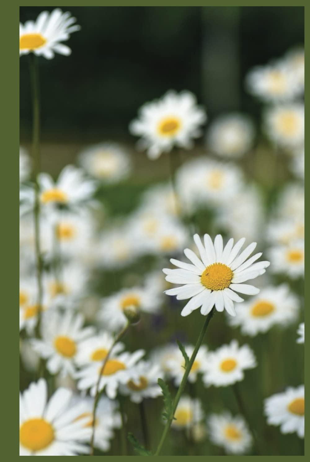 Daisy 12 Step Workbook Journal Discreet Cover AA Blue Notebook for Reflection with Journaling & Gratitude Prompts Mood Tracker: Addiction Alcoholics Anonymous Sobriety Floral Flowers Daisies