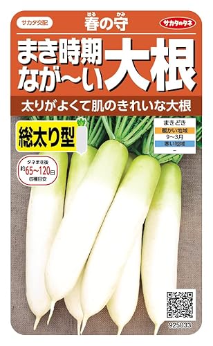 サカタのタネ まき時期ながーい大根 春の守のサムネイル