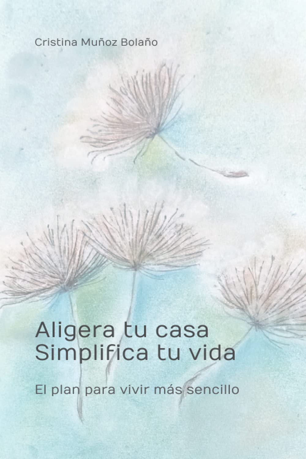 Aligera tu casa. Simplifica tu vida.: El plan para vivir más sencillo.