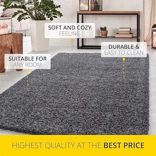 Image of AROMICK Modern Polyester Anti Slip Shaggy Fluffy Rug and Carpet for Living Room, Bedroom & Dining Room (4 x 6 Feet, Grey)