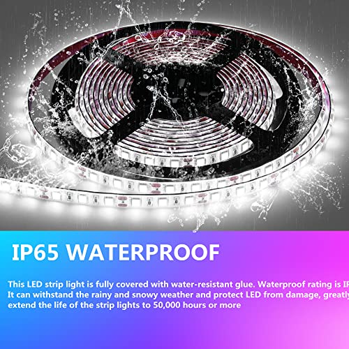 25FT RV Underglow Led Lights Kit, 12V Camper Underbody