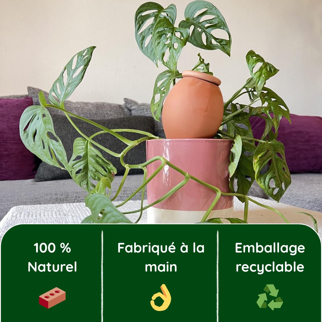 3 Oyas à Planter 400 ML en Terre Cuite avec Couvercle – Ideale pour Petit Pot - Arrosage Automatique Écologique pour Plantes d’Intérieur et d’Extérieur – Autonomie Jusqu’à 1 Semaine-
