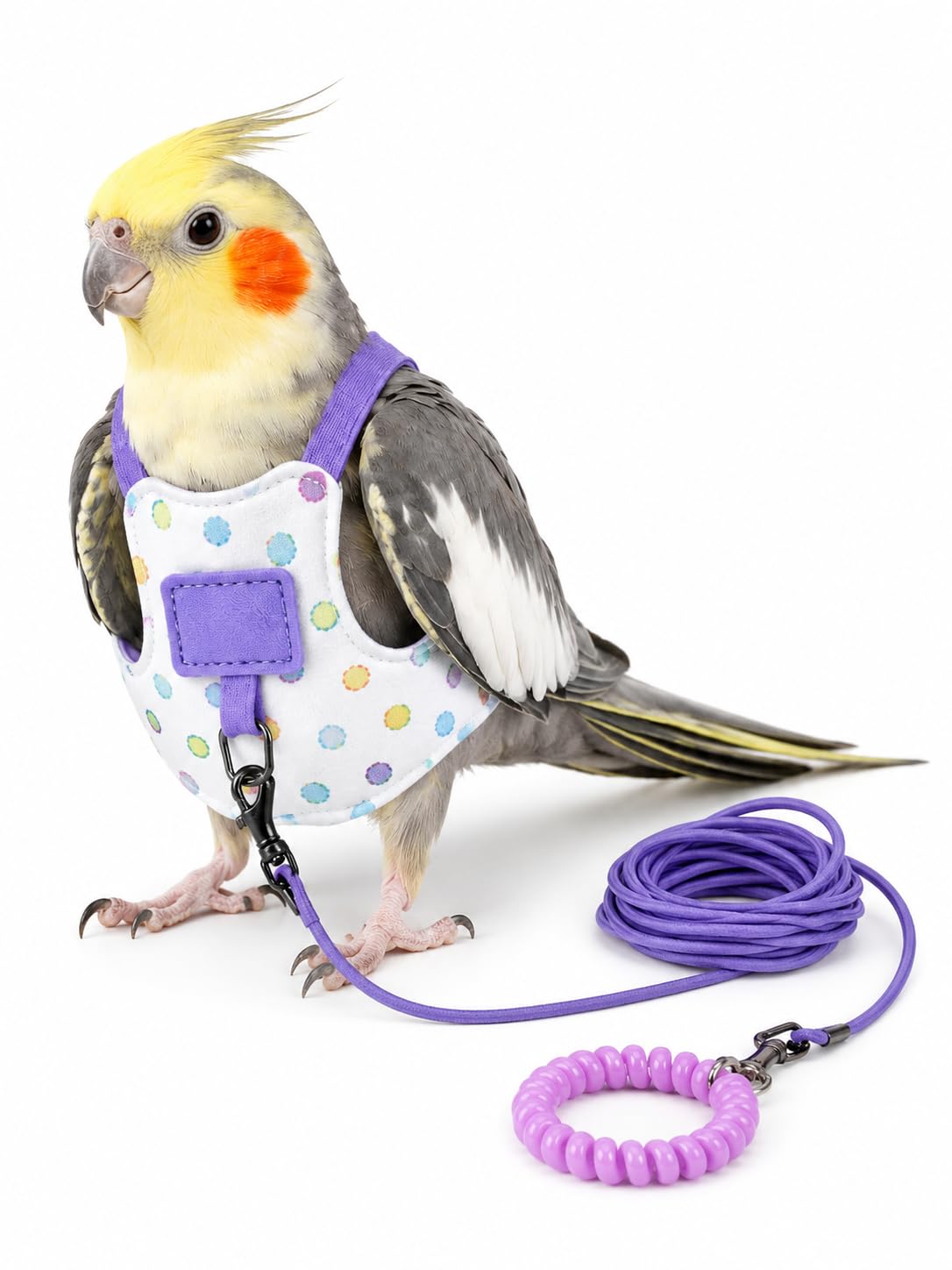 Parrot Flight Suit Harness with Elastic Leash, Heart Snap Quick Release Bird Walking Vest, Breathable Lightweight Outdoor Harness (Purple, M)