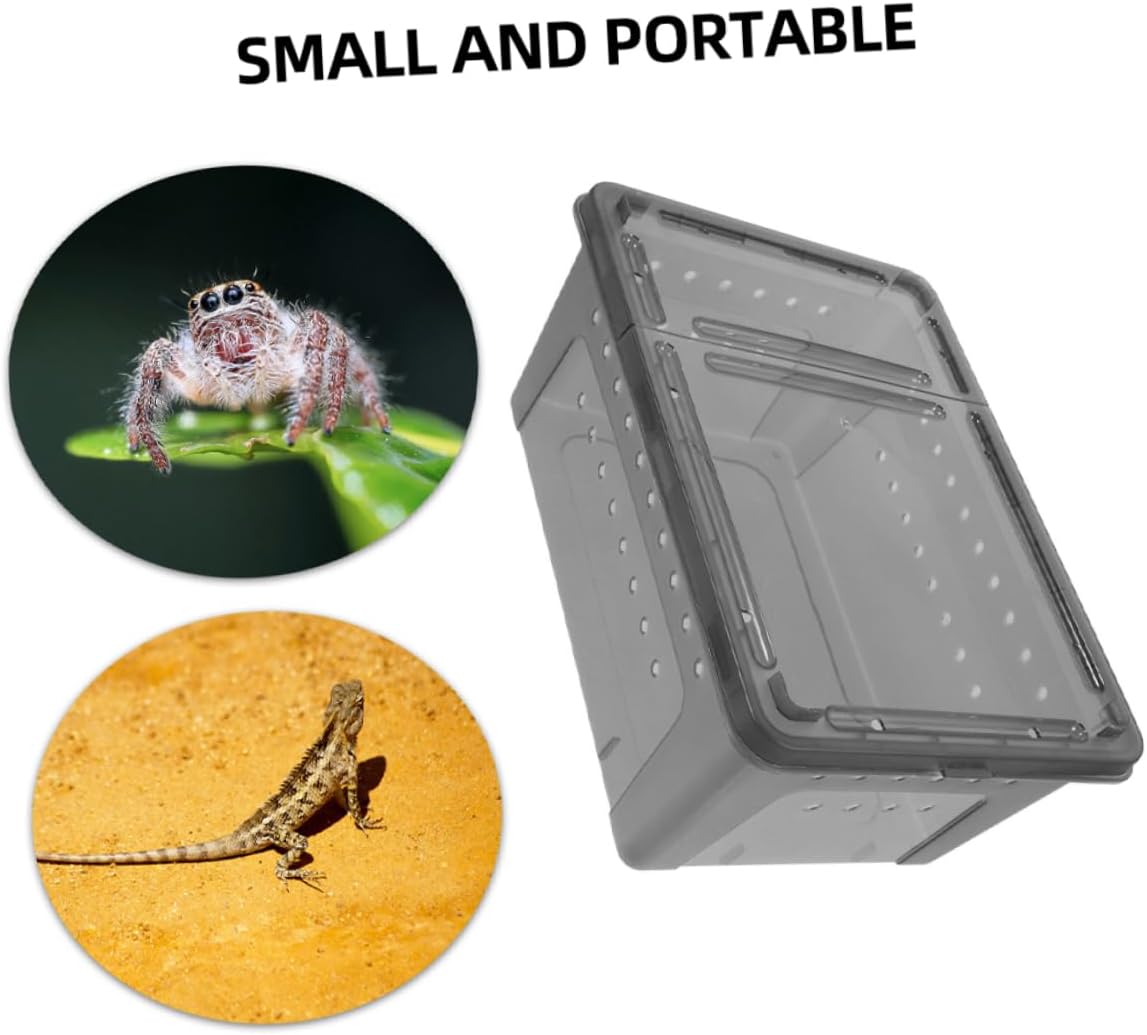 3sets Lizard Breeding Box Viewing Window Reptile Tank Accessory Reptile Feeding Box Spider Terrarium 2pcs*3