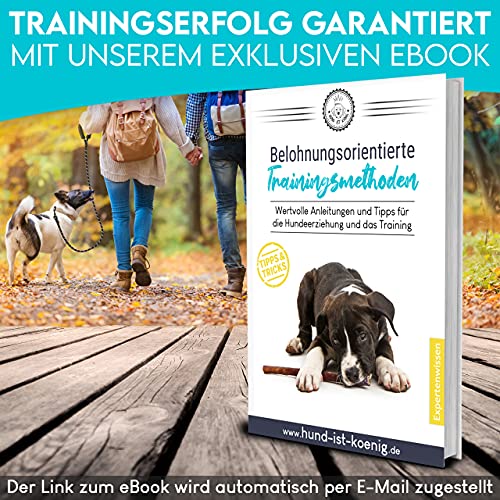 HUND IST KÖNIG Hundeleine - 1,5m Hunde Leine für Gassigehen & Training - Führleine mit weichem Griff & Reflektoren - ideale Alltagsleine für alle Rassen - leicht & robust, inkl. eBook
