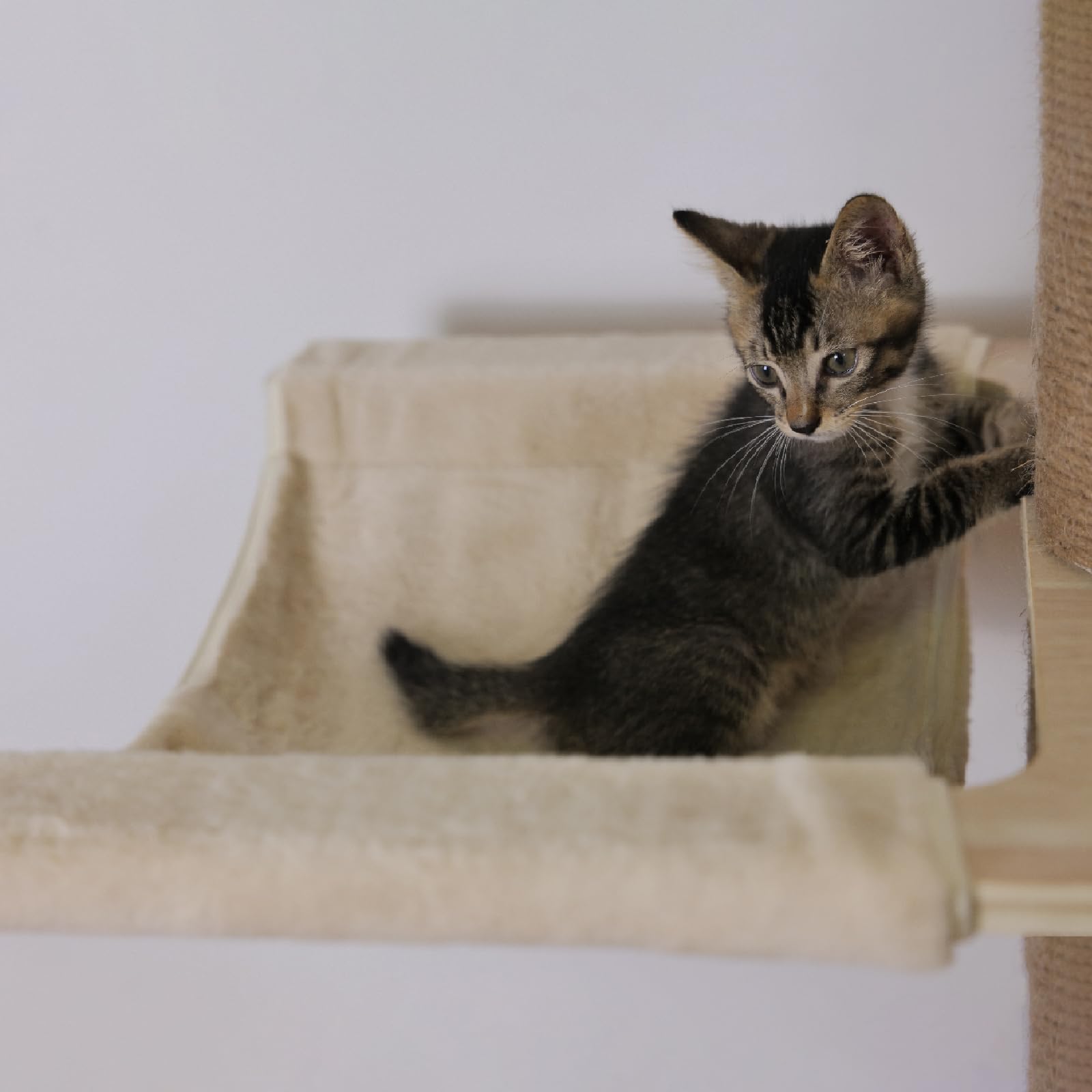 Floor to Ceiling Cat Tree Accessories Hammock Accessories Cat Climbing Frame Hammock