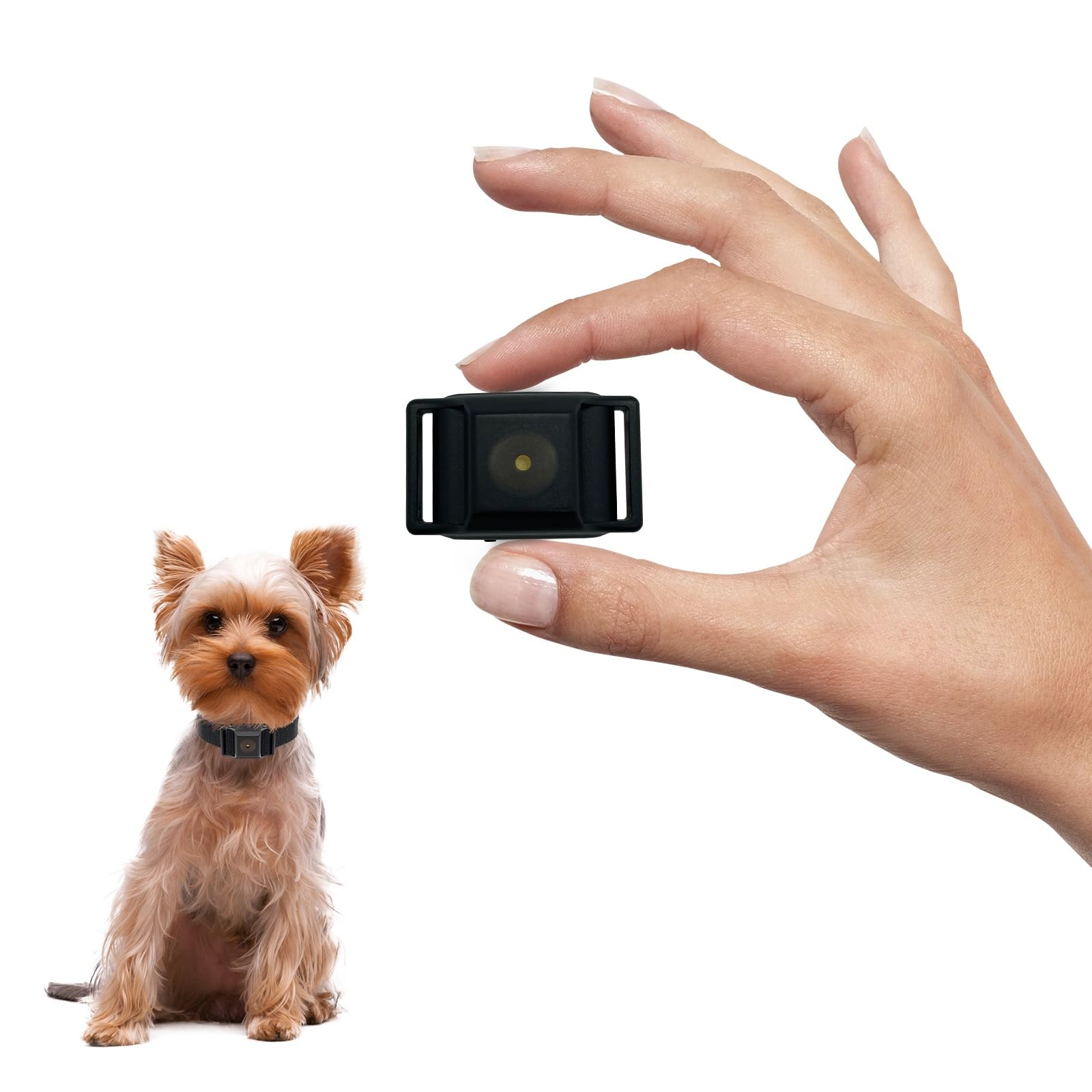 Le Plus Petit Collier Anti-aboiement pour Les Petits Chiens de 5-15lbs, Seulement 4 * 2.5cm & 12 grammes, sans Choc avec Vibration et Son, Extra Petit et Rechargeable, 5 Niveaux de sensibilité