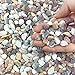 Pea gravel pebbles