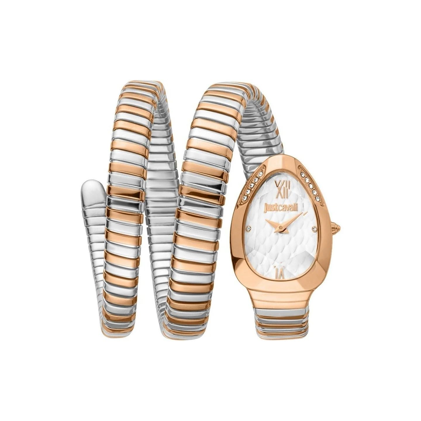 Just.CavalliGlam Evo 9 Family Glam Womens Watch JC1L224M0085 (B0D9SDNH77) Amazon Price History, Amazon Price Tracker