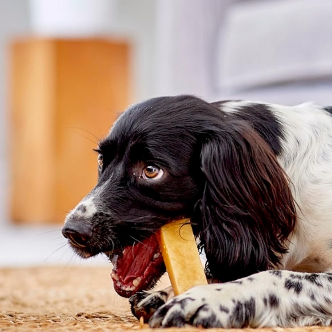 Yakers Chews For Dogs Pcs 1pk Xl Original Natural Desertcart INDIA