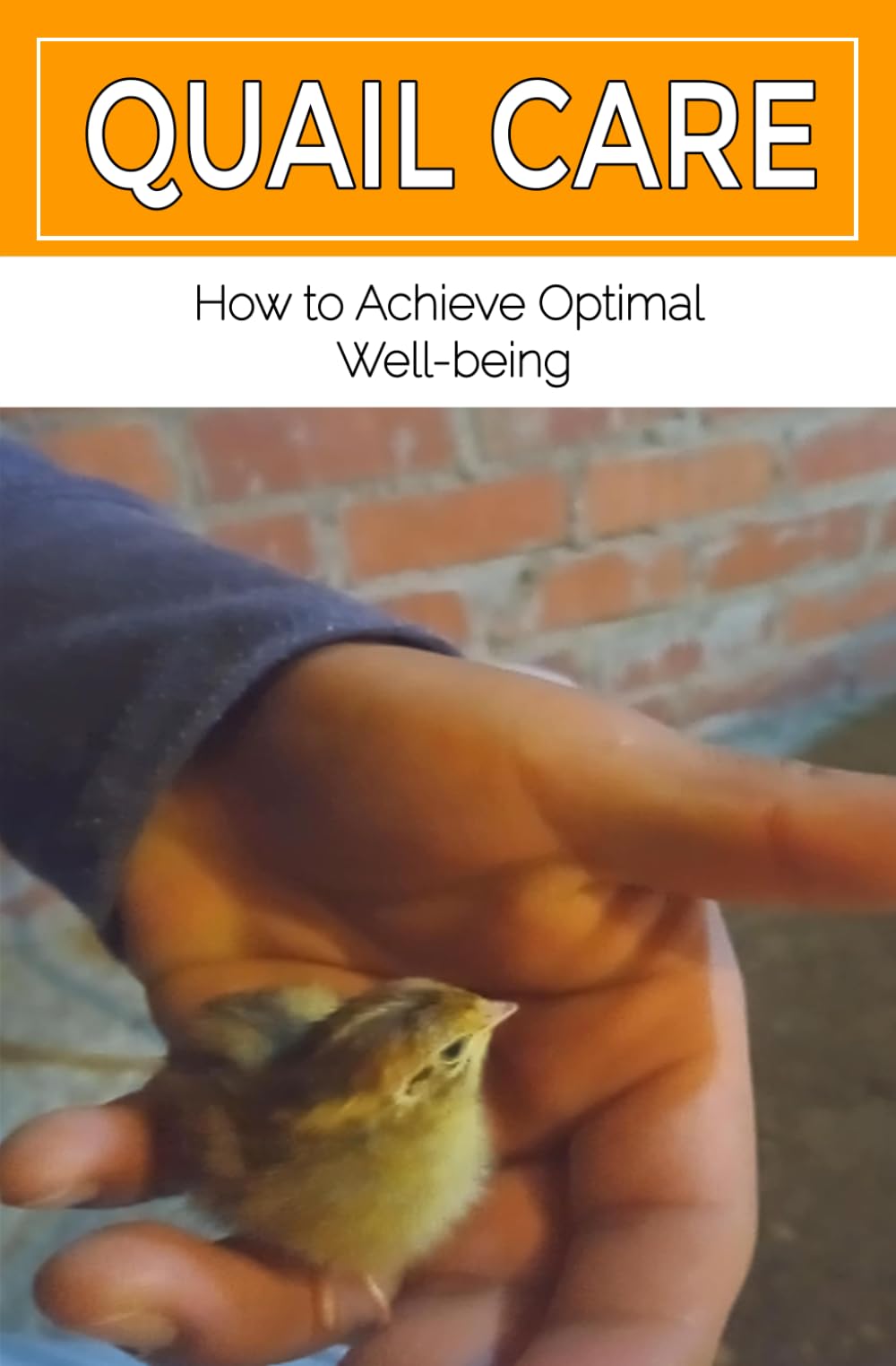 Quail Care: Book on How to Achieve Optimal Well-being Raising Quail