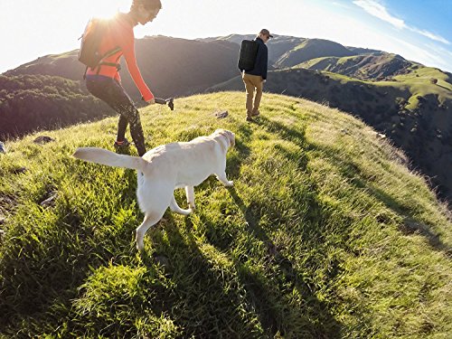 GoPro karma grip - nero (b-stock)